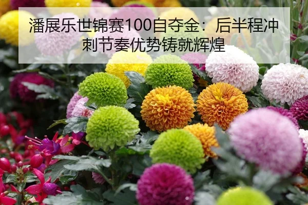 潘展乐世锦赛100自夺金：后半程冲刺节奏优势铸就辉煌
