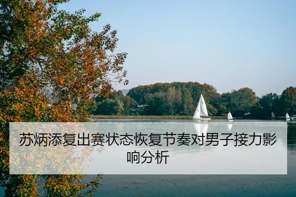 su-bing-tian-fu-chu-sai-zhuang-tai-hui-fu-jie-zou-dui-nan-zi-jie-li-ying-xiang-fen-xi-3-860.jpg
